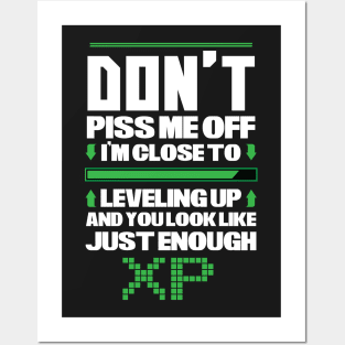 Video Games - Don't piss me off - Leveling UP Posters and Art